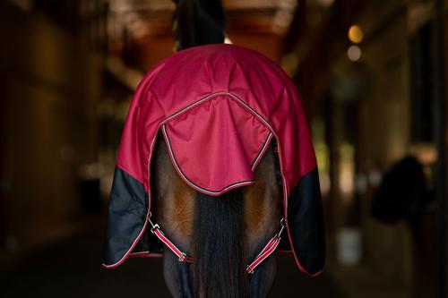 Show full view: TuffRider 1200D Comfy Fit RipStop Medium Weight Winter Horse Turnout Blanket, Red/Black, 81-in slide 5 of 5