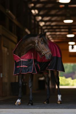 Show full view: TuffRider 1200D Comfy Fit RipStop Medium Weight Winter Horse Turnout Blanket, Red/Black, 81-in slide 4 of 5