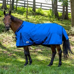 TuffRider 1200D Comfy Fit Standard Neck Heavy Weight Horse Turnout Blanket, Royal, 72-in