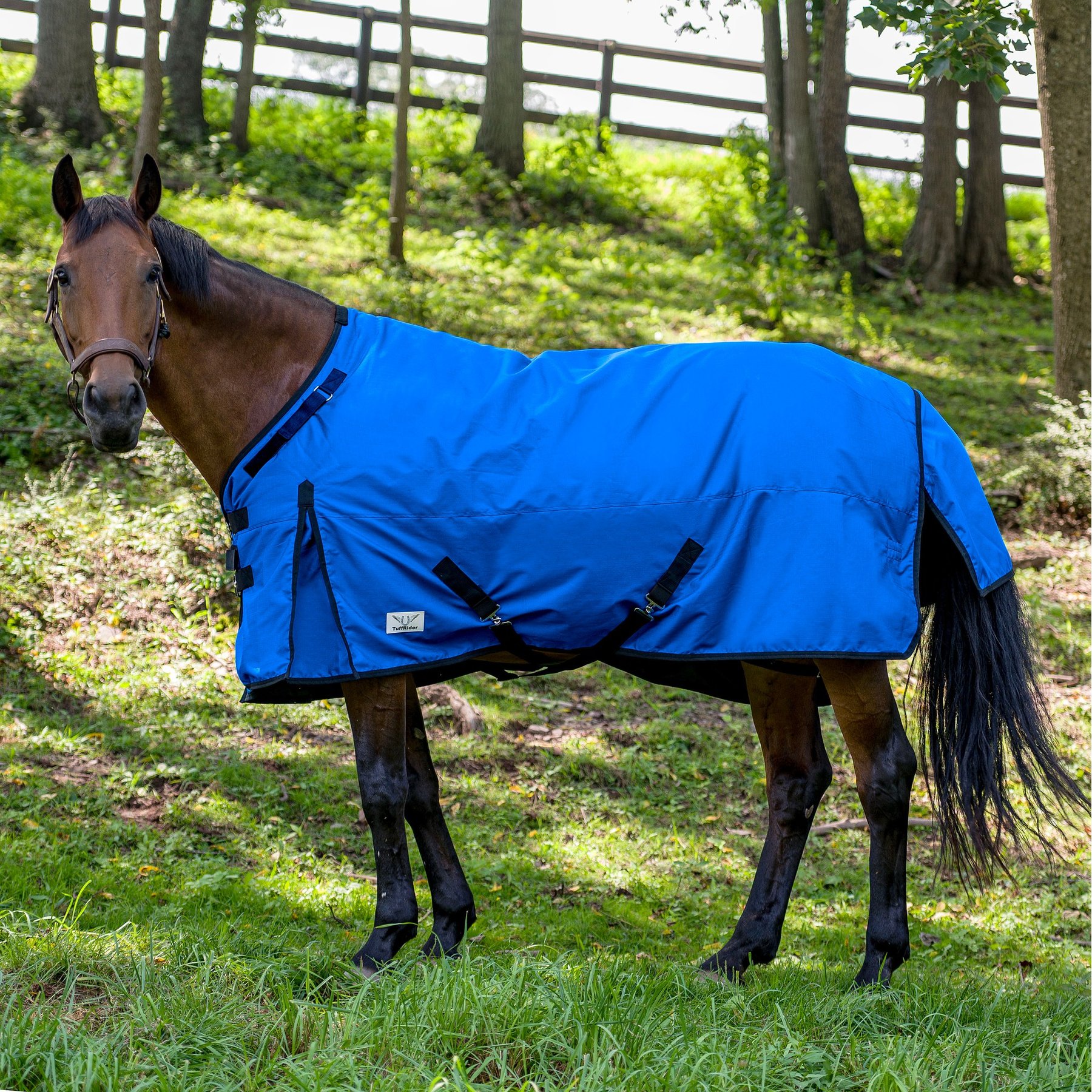 TuffRider 1200D Comfy Fit Standard Neck Heavy Weight Horse Turnout Blanket, Royal, 87-in