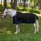 Show in main carousel: TuffRider 1200D Comfy-fit Standard Neck Medium Weight Horse Turnout Blanket, Black, 72-in slide 1 of 2