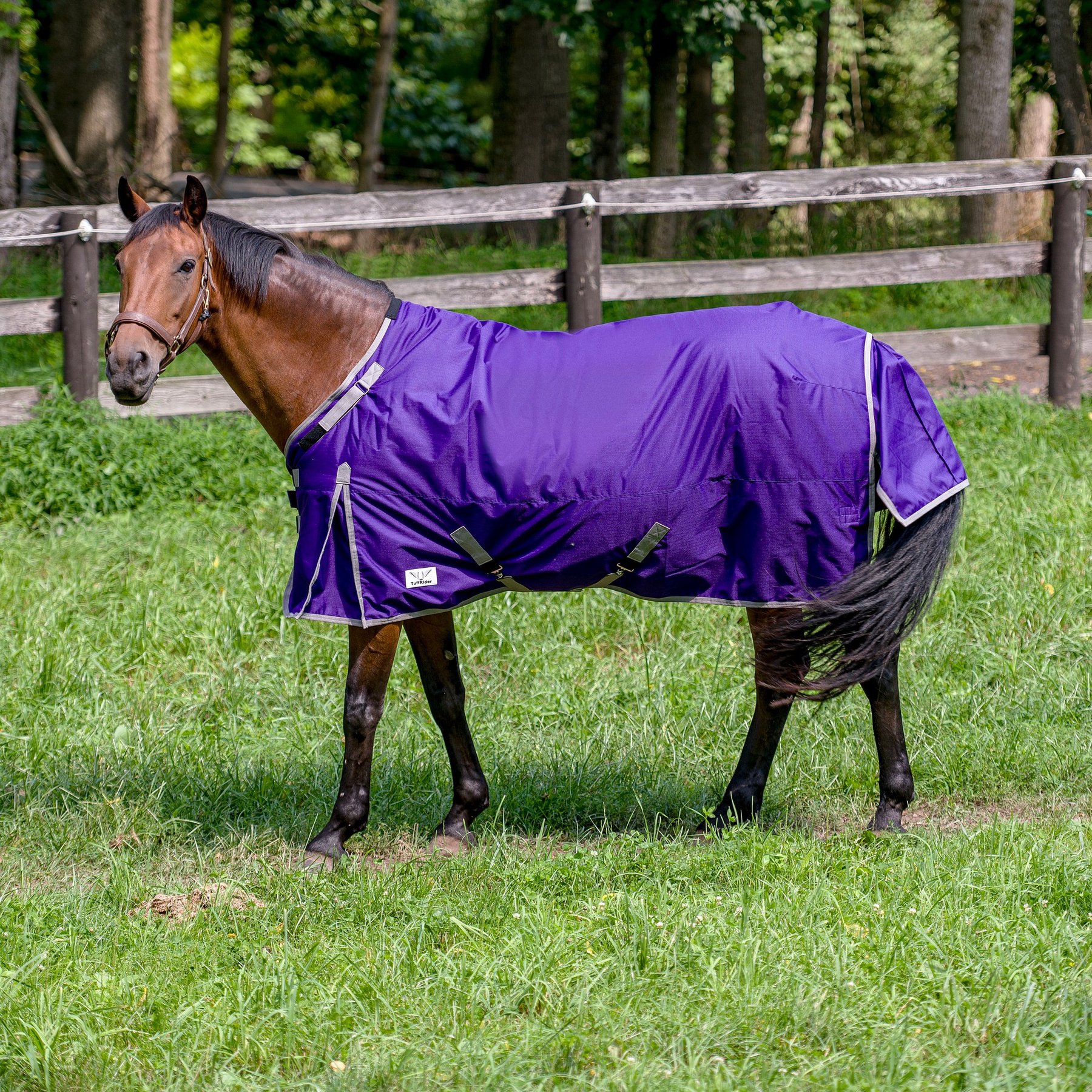 TuffRider 1200D Comfy-fit Standard Neck Medium Weight Horse Turnout Blanket, Purple, 78-in