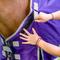 Show in main carousel: TuffRider 1200D Comfy-fit Standard Neck Medium Weight Horse Turnout Blanket, Purple, 84-in slide 2 of 3