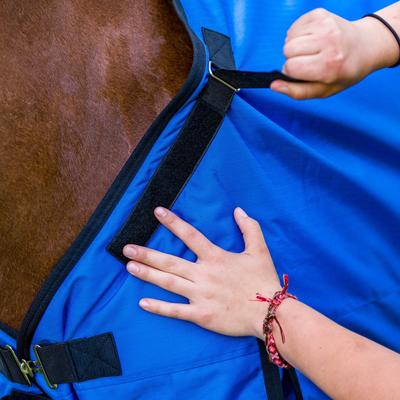 Show full view: TuffRider 1200D Comfy-fit Standard Neck Medium Weight Horse Turnout Blanket, Royal, 87-in slide 2 of 3