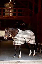 TuffRider 1200D Comfy Standard Neck Medium Weight Horse Stable Blanket, Beige, 72-in slide 2 of 7