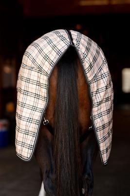 Show full view: TuffRider 1200D Comfy Standard Neck Medium Weight Horse Stable Blanket, Beige, 72-in slide 5 of 8
