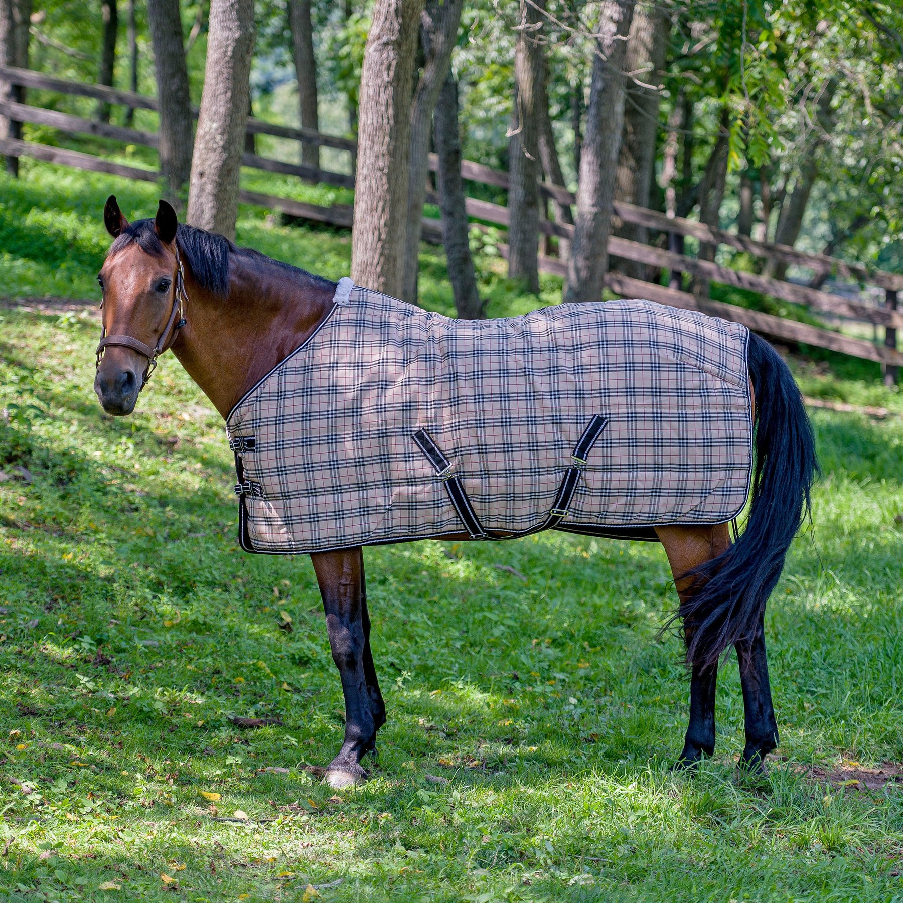 TuffRider 1200D Comfy Standard Neck Medium Weight Horse Stable Blanket, Beige, 75-in