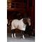Show in main carousel: TuffRider 1200D Comfy Standard Neck Medium Weight Horse Stable Blanket, Beige, 75-in slide 6 of 8