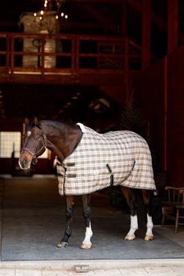 Show full view: TuffRider 1200D Comfy Standard Neck Medium Weight Horse Stable Blanket, Beige, 81-in slide 3 of 8