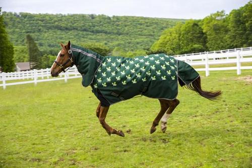 Show full view: TuffRider 1200D Ripstop 220G Polyfill Horse Print Combo Neck Two Tone Horse Turnout Blanket, Hunter, 51-in slide 1 of 2