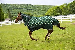 TuffRider 1200D Ripstop 220G Polyfill Horse Print Combo Neck Two Tone Horse Turnout Blanket, Hunter, 54-in