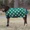 Show in main carousel: TuffRider 1200D Ripstop 220G Polyfill Pony Horse Print Standard Neck Two Tone Horse Turnout Blanket, 36-in slide 3 of 6