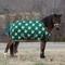 Show in main carousel: TuffRider 1200D Ripstop 220G Polyfill Pony Horse Print Standard Neck Two Tone Horse Turnout Blanket, 36-in slide 2 of 6