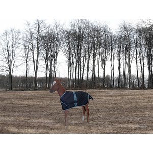 TuffRider 1200D Ripstop Foal Adjustable Horse Turnout Blanket, Black, Standard