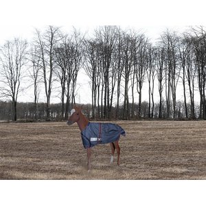 TuffRider 1200D Ripstop Foal Adjustable Horse Turnout Blanket, Navy, Standard