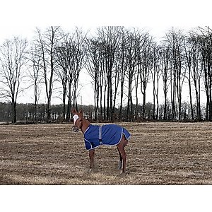 TuffRider 1200D Ripstop Foal Adjustable Horse Turnout Blanket, Purple, Standard