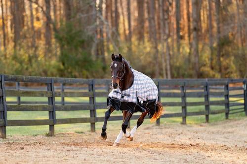 Show full view: TuffRider 1200D Turnout Comfy Standard Neck Medium Weight Horse Blanket, Beige, 72-in slide 4 of 7