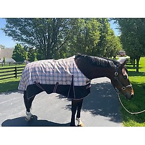 TuffRider 1200D Turnout Comfy Standard Neck Medium Weight Horse Blanket, Beige, 75-in