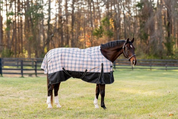 TuffRider 1200D Turnout Comfy Standard Neck Medium Weight Horse Blanket
