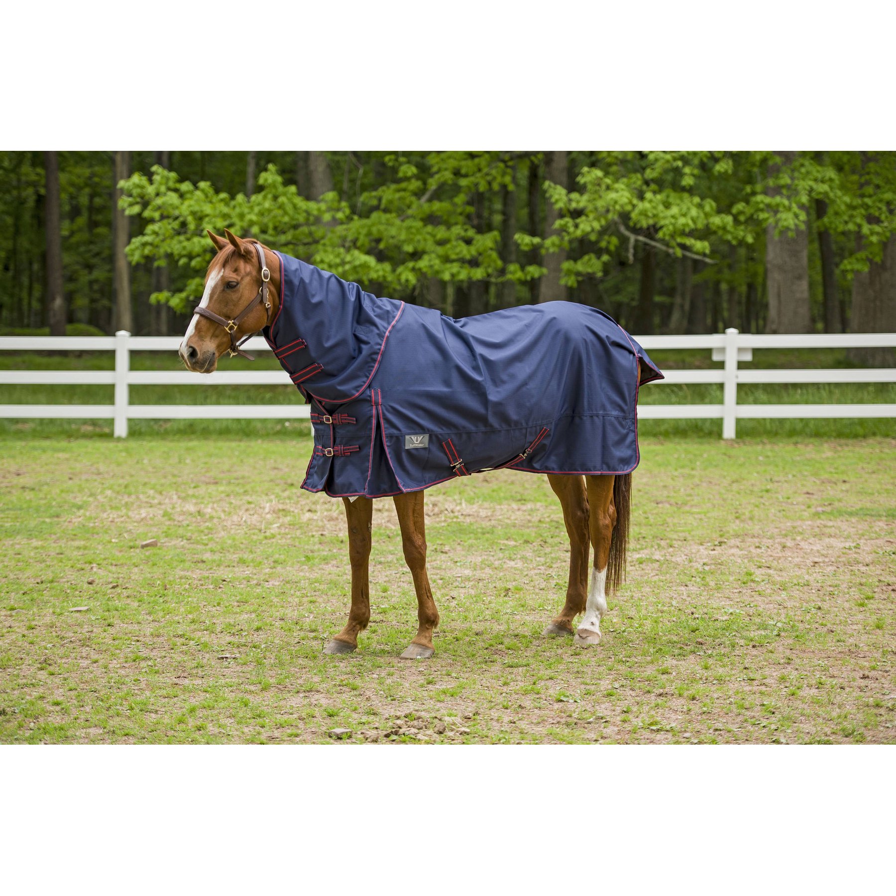 TuffRider 1200D Winter Comfy Detachable Neck Horse Sheet, Navy, 81-in