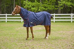 TuffRider 1200D Winter Comfy Detachable Neck Horse Sheet, Navy, 81-in slide 2 of 2