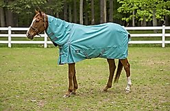 TuffRider 1200D Winter Comfy Detachable Neck Horse Sheet, Turquoise, 69-in