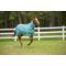 Show in main carousel: TuffRider 1200D Winter Comfy Detachable Neck Horse Sheet, Turquoise, 69-in slide 3 of 5