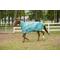 Show in main carousel: TuffRider 1200D Winter Comfy Detachable Neck Horse Sheet, Turquoise, 69-in slide 5 of 5