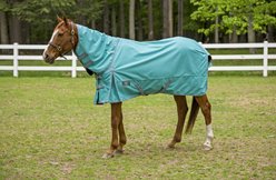 TuffRider 1200D Winter Comfy Detachable Neck Horse Sheet, Turquoise, 78-in
