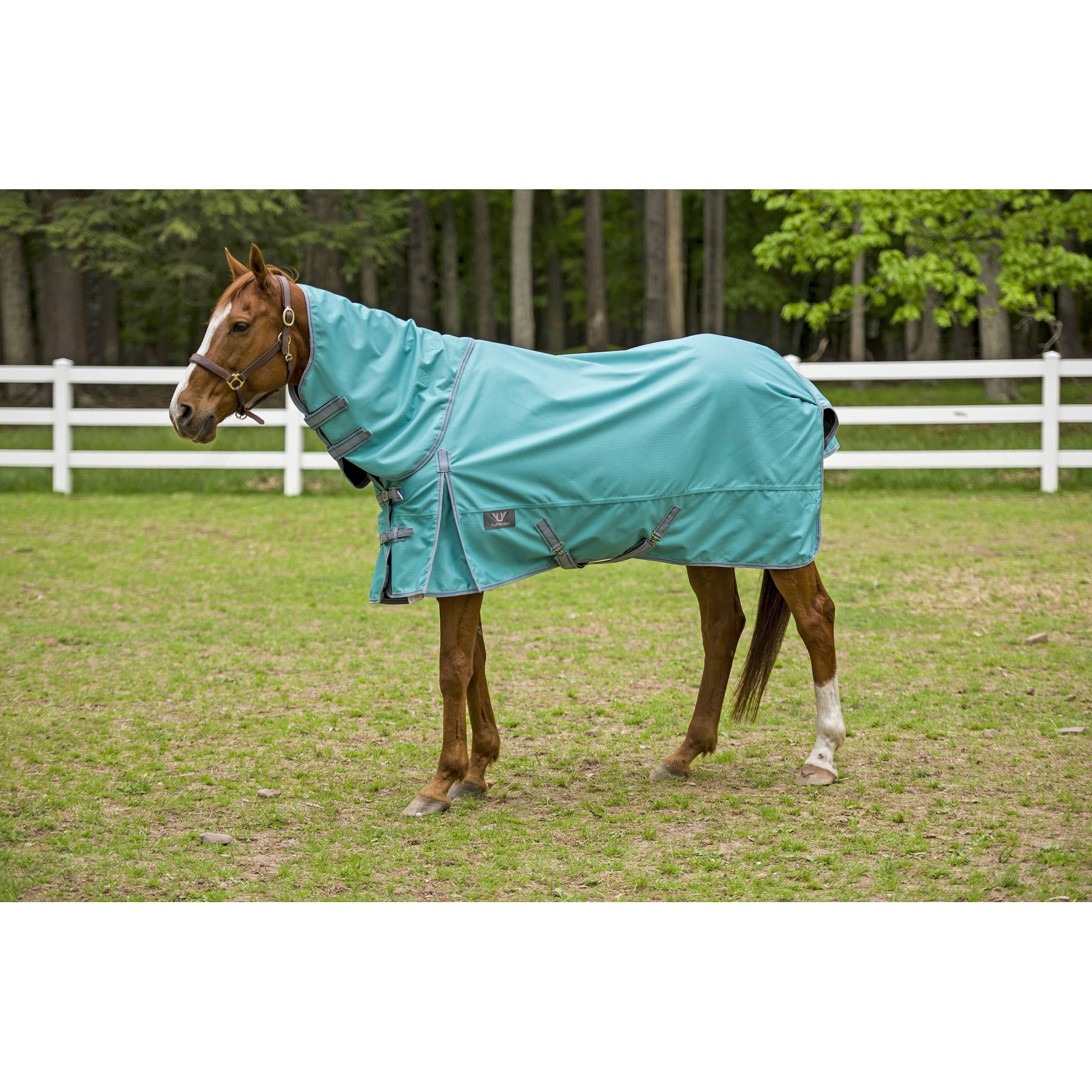 TuffRider 1200D Winter Comfy Detachable Neck Horse Sheet, Turquoise, 81-in