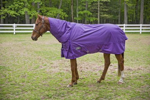 Show full view: TuffRider 1680 D Super Comfy Heavy Weight 350G Detachable Neck Horse Blanket, Purple, 69-in slide 2 of 7