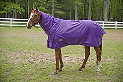 TuffRider 1680 D Super Comfy Heavy Weight 350G Detachable Neck Horse Blanket, Purple, 78-in