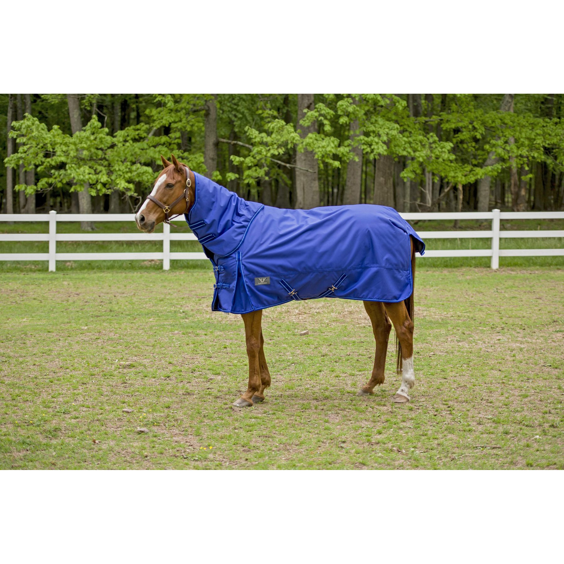 TuffRider 1680 D Super Comfy Heavy Weight 350G Detachable Neck Horse Blanket, Royal, 72-in