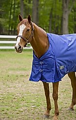 TuffRider 1680 D Super Comfy Heavy Weight 350G Detachable Neck Horse Blanket, Royal, 72-in slide 2 of 4