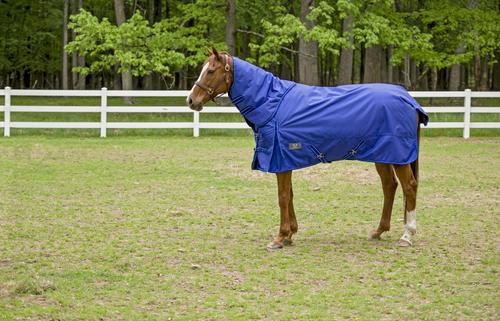 Show full view: TuffRider 1680 D Super Comfy Heavy Weight 350G Detachable Neck Horse Blanket, Royal, 72-in slide 3 of 5