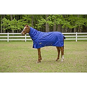 TuffRider 1680 D Super Comfy Heavy Weight 350G Detachable Neck Horse Blanket, Royal, 78-in