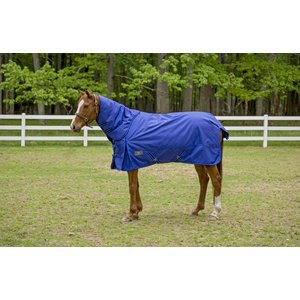 TuffRider 1680 D Super Comfy Heavy Weight 350G Detachable Neck Horse Blanket, Royal, 78-in