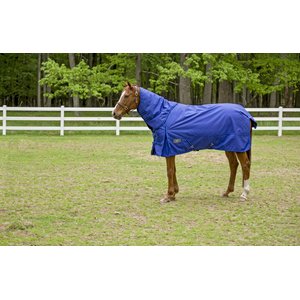 TuffRider 1680 D Super Comfy Heavy Weight 350G Detachable Neck Horse Blanket, Royal, 78-in
