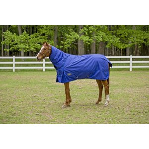 TuffRider 1680 D Super Comfy Heavy Weight 350G Detachable Neck Horse Blanket, Royal, 81-in
