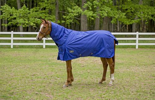 Show full view: TuffRider 1680 D Super Comfy Heavy Weight 350G Detachable Neck Horse Blanket, Royal, 81-in slide 2 of 5