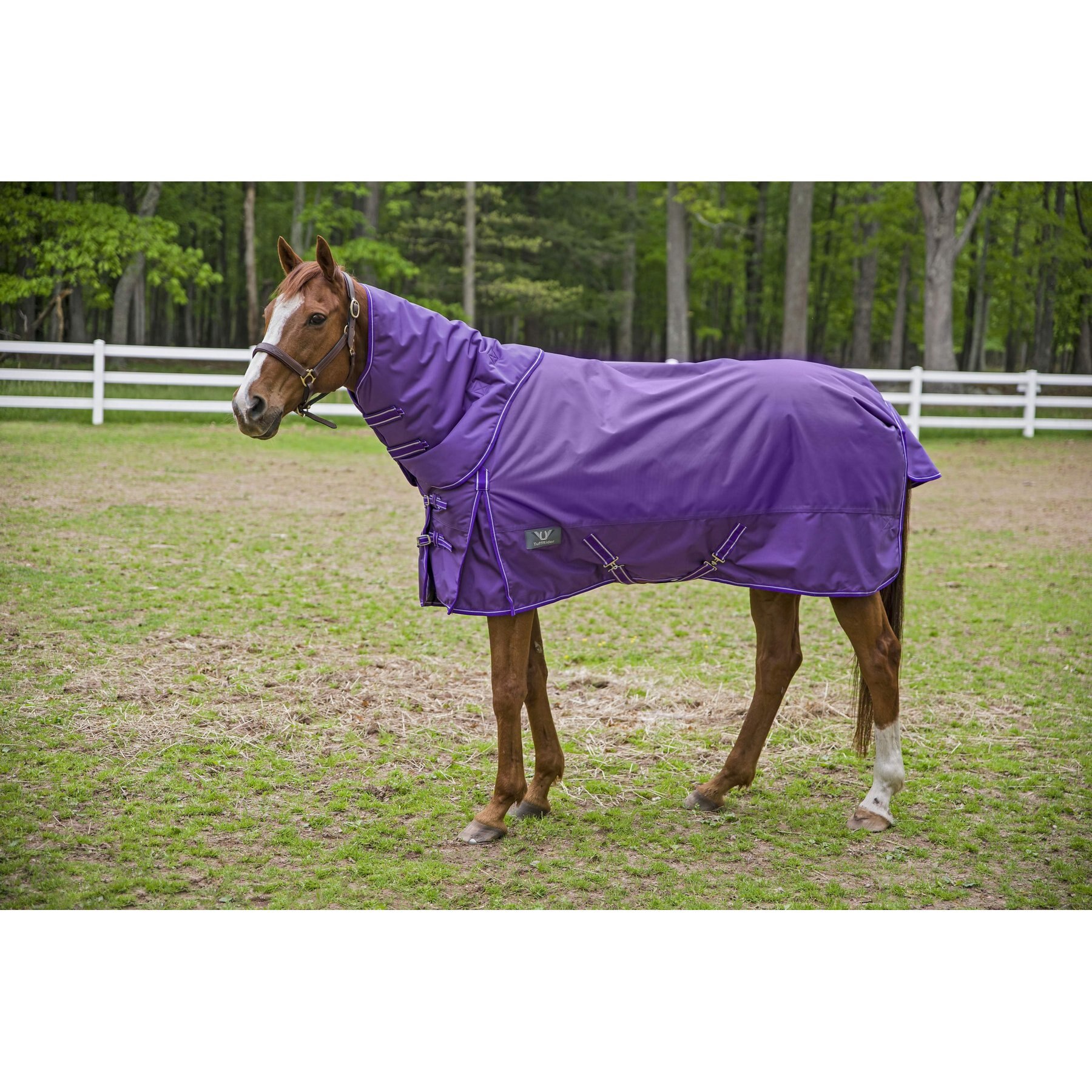 TuffRider 1680D Super Comfy Medium Weight 200G Standard Neck Horse Blanket, Purple, 72-in