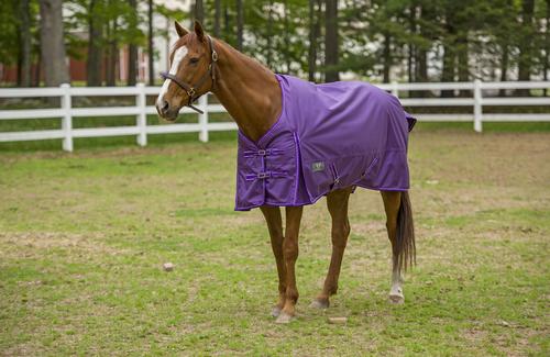 Show full view: TuffRider 1680D Super Comfy Medium Weight 200G Standard Neck Horse Blanket, Purple, 72-in slide 2 of 5