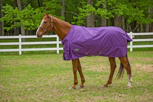 Show full view: TuffRider 1680D Super Comfy Medium Weight 200G Standard Neck Horse Blanket, Purple, 81-in slide 5 of 5
