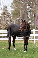 TuffRider 3D Spacer Horse Cooler Sheet, Black, Small