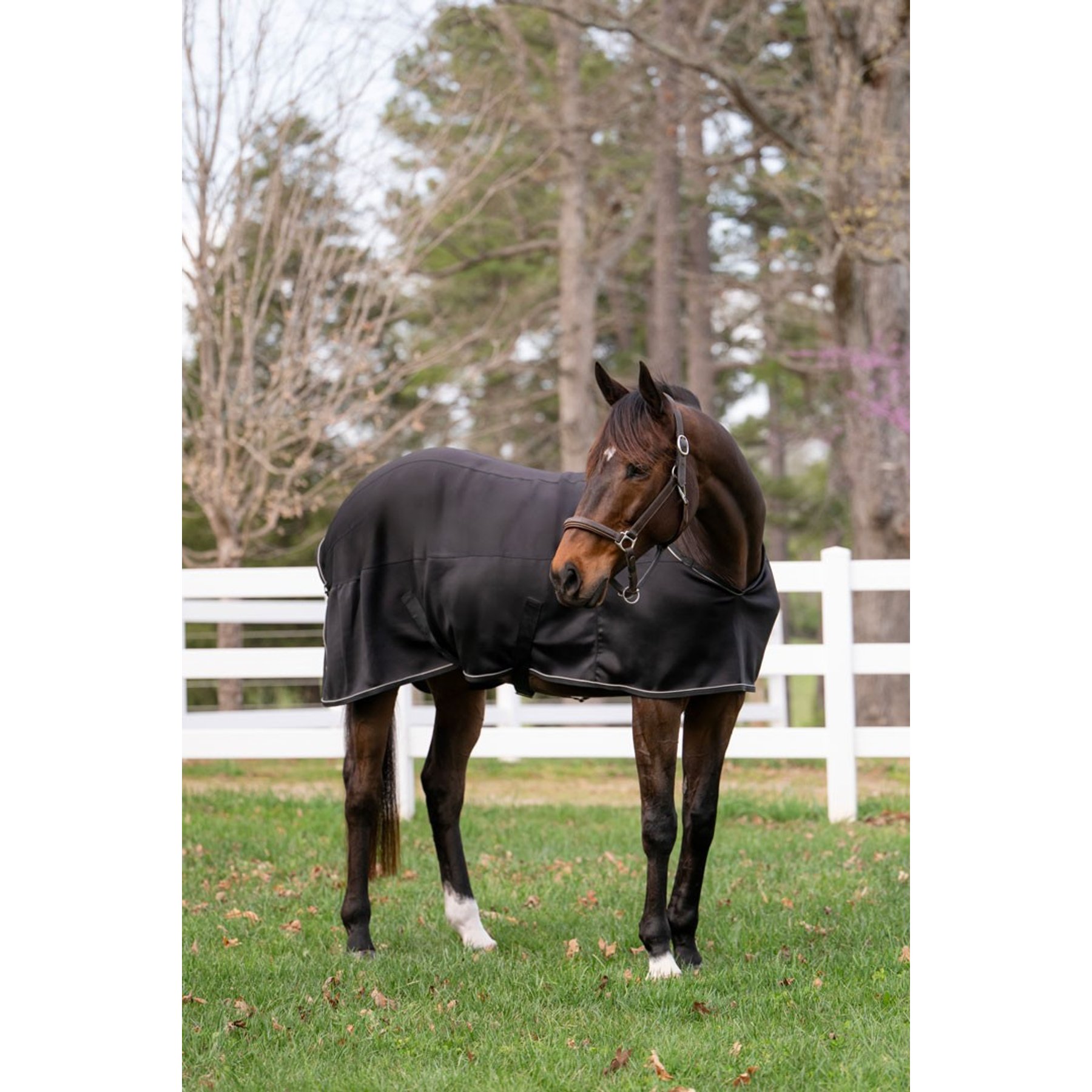 TuffRider 3D Spacer Horse Cooler Sheet, Black, X-Small
