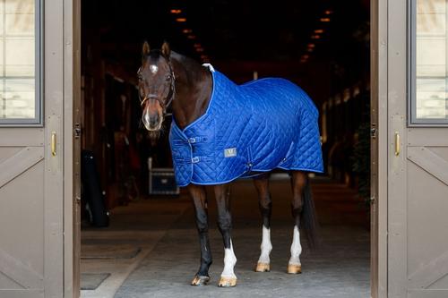 Show full view: TuffRider 420D Kozy Komfort Two Stable Horse Blanket, Royal, 69-in slide 2 of 7