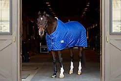TuffRider 420D Kozy Komfort Two Stable Horse Blanket, Royal, 75-in slide 2 of 7