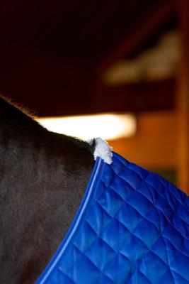 Show full view: TuffRider 420D Kozy Komfort Two Stable Horse Blanket, Royal, 81-in slide 6 of 7