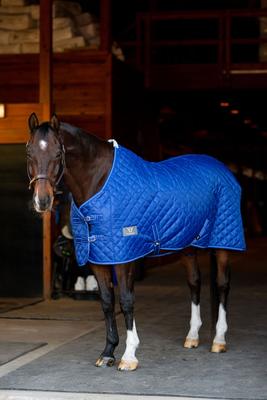 Show full view: TuffRider 420D Kozy Komfort Two Stable Horse Blanket, Royal, 81-in slide 5 of 7