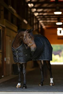 Show full view: TuffRider 420D Kozy Komfort Two Stable Horse Blanket with Diamond Quilting, Black, 72-in slide 3 of 4